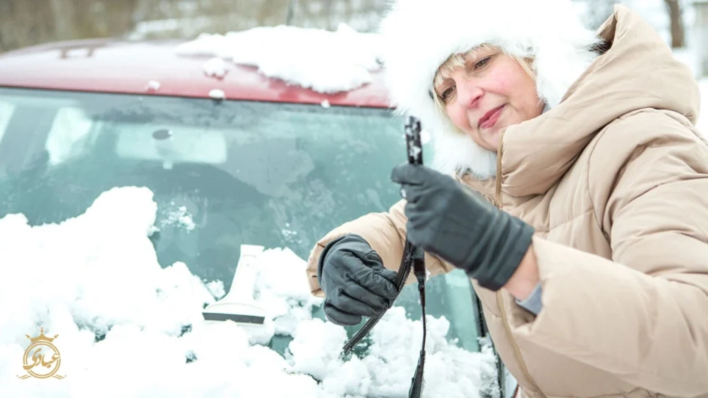 بررسی برف پاک کن خودرو برای زمستان