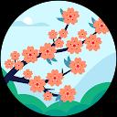 F Soltani profile picture